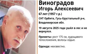 В Гусь-Хрустальном районе 67-летний мужчина ушёл в лес и не вернулся
