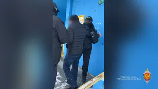 В Коми арестовали директора за попытку откупиться от проверки