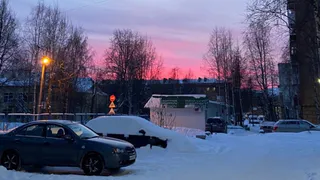 Дачный кошмар в Коми: владельцы участков бьют тревогу из-за дерзких краж