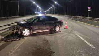 За прошедшую неделю во Владимирской области произошло 313 ДТП