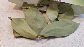 Закапывают на огороде и кладут в унитаз: лавровый лист оказался полезнее, чем многие предполагали