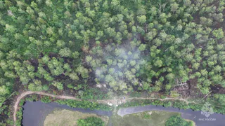 В Собинском муниципальном округе воспламенился торфяник