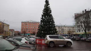 В Рязани 9 ноября установили первую новогоднюю ель