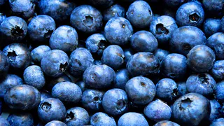 Весенний уход за голубикой: советы по обрезке и подкормке для богатого урожая