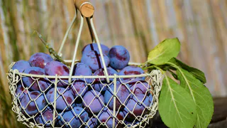 Всего 2 стакана под дерево – летом будете собирать по 100 кг вишни и сливы: вёдер для такого урожая не хватит