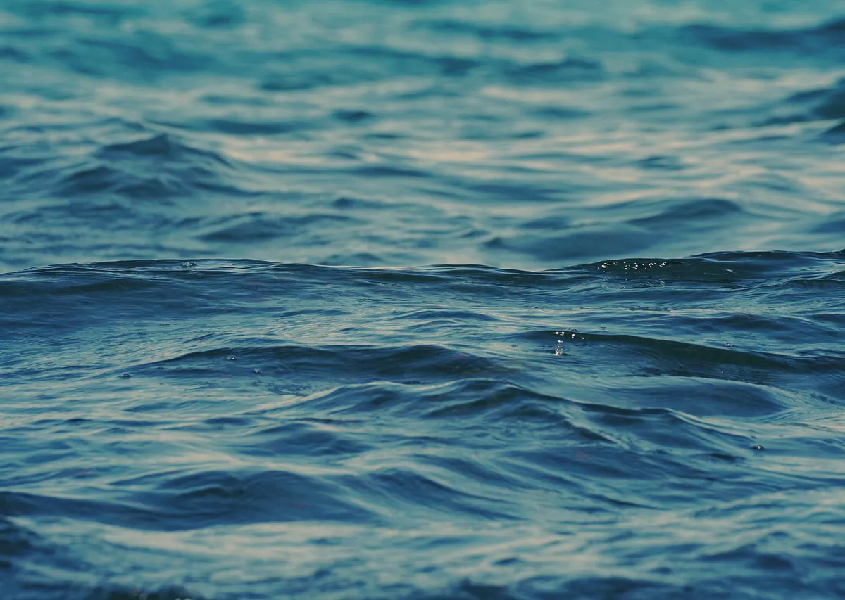 Пляжи без людей и цены, как в СССР: россияне узнали про новый курорт с чистым морем