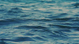 Пляжи без людей и цены, как в СССР: россияне узнали про новый курорт с чистым морем 