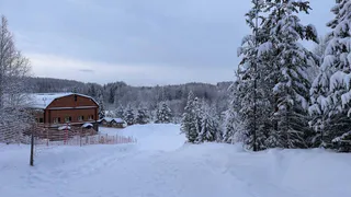 Свежий взгляд на Новый год: Альтернативные сценарии празднования в сердце тайги Коми