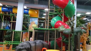 В Брянской области разрешили работу детских развлекательных центров