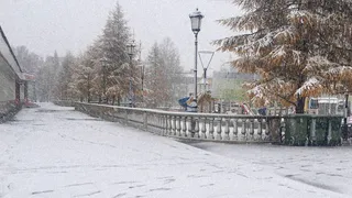 "Ноябрь будет просто адовый". Синоптики обновили прогноз на конец осени