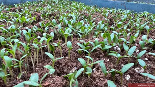 Во Владимирской области начинают активную подготовку к весне