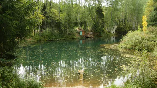 Запах тины исчезнет? «Росводоканал» пообещал избавить рязанцев от «рыбной» воды