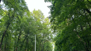 В Рязанской области 15 июня стартует археологический сезон