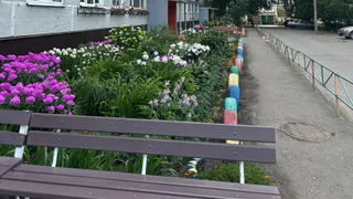 Глава региона держит на личном контроле реализацию программы «Мой двор»