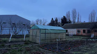 Аномальная жара в марте изменит сроки урожая: когда лучше сажать томаты и картошку - список дат