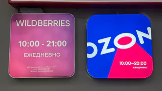 1 категория товаров, которую нельзя покупать на Wildberries и Ozon: запомните раз и навсегда