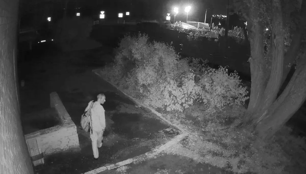 В Засечном мужчина пытался изнасиловать 28-летнюю девушку