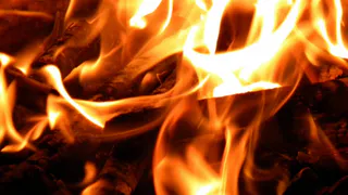 Дали реальный срок: рязанцам, которые убили и сожгли знакомого, объявили приговор