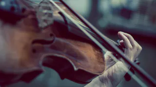 В Рязани музыкантам на Почтовой запретили исполнять песни иностранных агентов