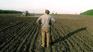 В Брянской области зафиксировано падение сельхозпроизводства