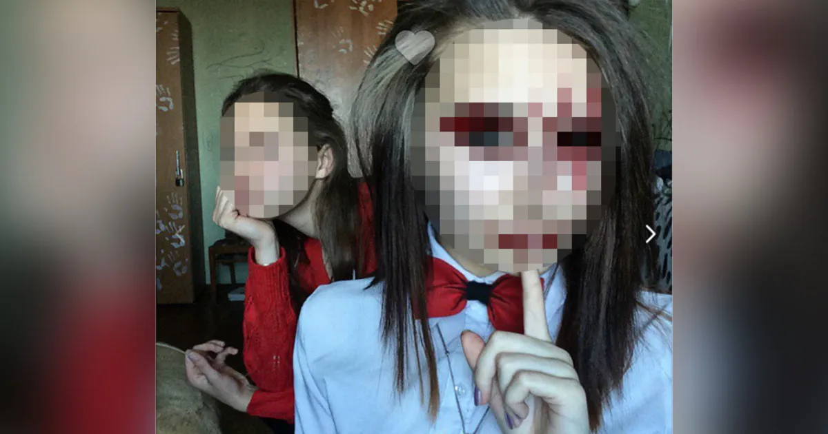 Полицейские изучают переписку хабаровских живодерок