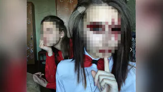 Полицейские изучают переписку хабаровских живодерок