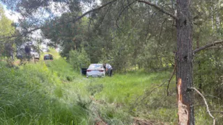 Появились фото с места смертельного ДТП с Kia Rio в Клепиковском районе