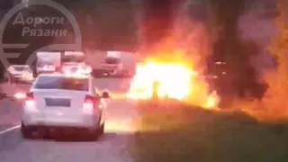 Сбил на дороге лося и загорелся: под Рязанью произошло ДТП