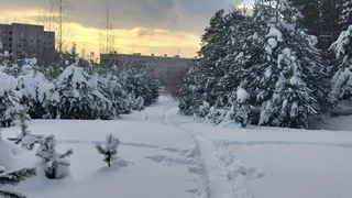 Радости не будет - только мрак: Вильфанд объяснил, почему грядущее потепление станет ударом для россиян