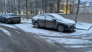 «Весна сделает нам подлянку». Синоптики обновили прогноз на март