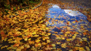 6 ноября в Пензе будет небольшой дождь