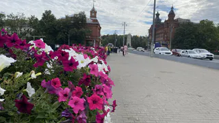 Такого июля уже как лет 100 не было: Вильфанд сообщил о крайне аномальной погоде