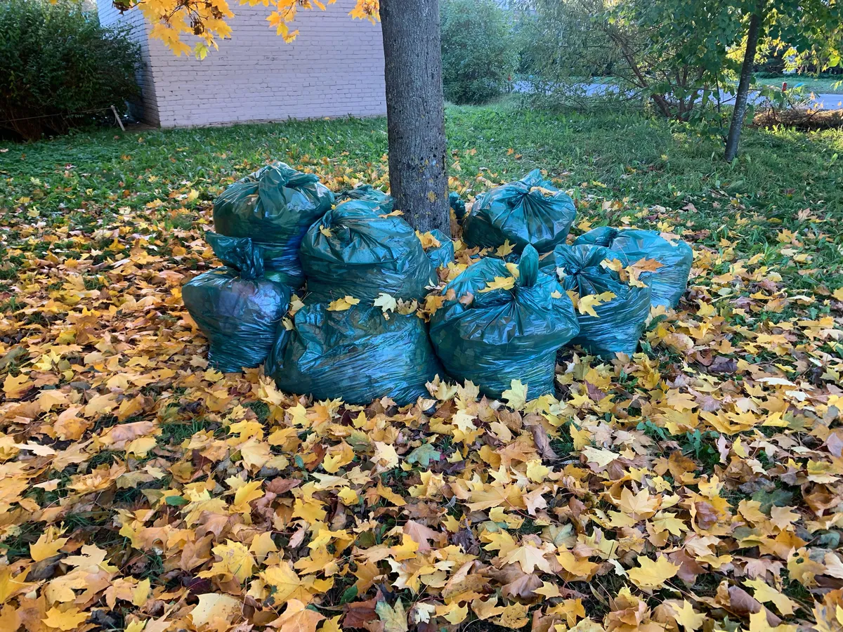 В Пензе прошел первый общегородской субботник