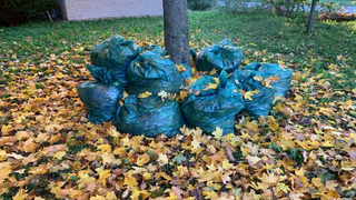 В Рязанской области по требованию прокуратуры ликвидировали свалку