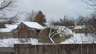 Переехали жить в деревню и только через год поняли - здесь больше не живут сельским хозяйством. Причина всегда была на виду