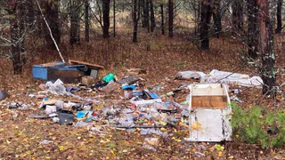 В Меленках прокуратура добивается ликвидации свалки у водоёма «Шампунька»