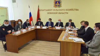 Брянские торговые сети обязали снизить наценки на продукты