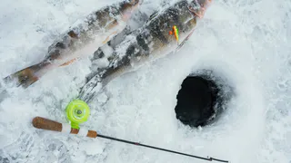 Выпишут штраф в 50 000 или заведут дело: названы новые запреты для российских рыбаков с 24 февраля