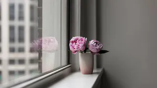 Подоконник сверкает от чистоты: всего 2 капли на губку