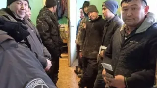 14 мигрантов в Коми за неделю наказали за нарушения законов