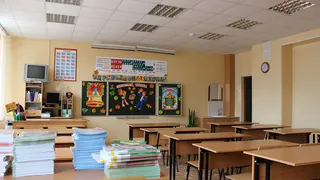 СМИ: в 75-й школе Рязани нашли коклюш