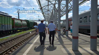 За вчерашний день в Рязани произошло 12 краж