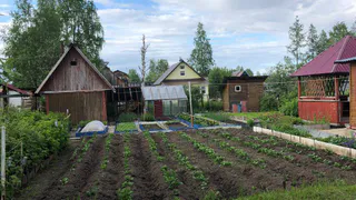 Это самая вредная ягода: а мы едим ее покупаем как деликатес, еще и детей угощаем