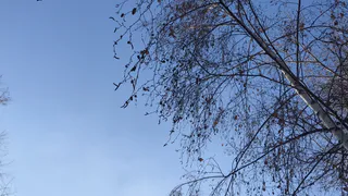 Снег и гололед - прогноз погоды на пятницу