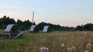 В Коми превысили план заготовки сена и кормов