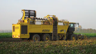 Заморозки наносят ущерб сельскому хозяйству России: потери урожая составляют 12%