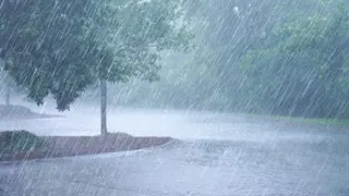 В России ливни сменятся ливнями с холодом