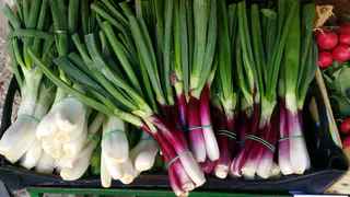 Выращиваю на подоконнике зеленый лук 5 способами: за 14 дней завалил сочными перьями - просто и экономно 