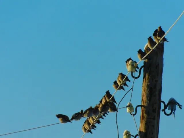 В Челябинской области подморозит до -25 градусов 11 декабря