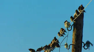 В Челябинской области подморозит до -25 градусов 11 декабря